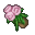 god flowers