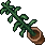 indoor plant