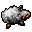 dead sheep