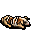 dead pig