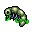 dead larva