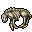 dead hyaena