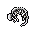 dead skunk