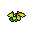 exotic butterfly