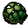 dead tortoise