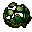dead tortoise