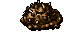 dead thornback tortoise
