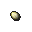 tortoise egg