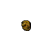 lion trophy