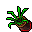 flower bowl