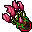 flower bowl