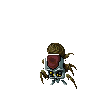 Cave Tarantula