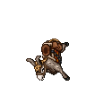Donkey