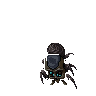 Gloom Widow