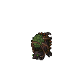 Swamp Snapper