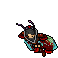 Moth Cape