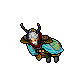Moth Cape