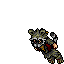 Rascoohan